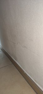 IMG_20211021_144408.jpg