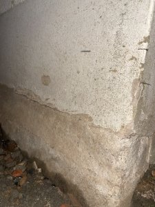 IMG_1019.jpeg