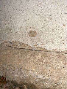 IMG_1022.jpeg