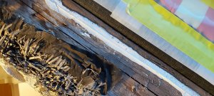 WhatsApp Image 2021-11-07 at 16.54.59.jpeg