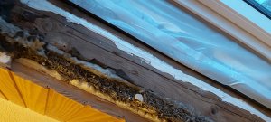 WhatsApp Image 2021-11-07 at 16.55.00.jpeg