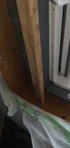 IMG_20211108_134411.jpg