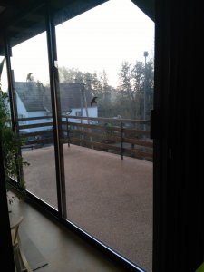 IMG_20211111_082037.jpg