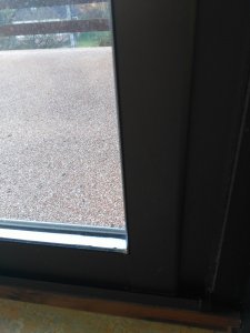 IMG_20211111_082050.jpg
