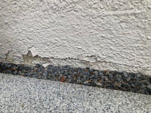 IMG_2560.jpg