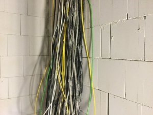 27E59143-9F66-4ED7-A76D-A161A48312E3.jpeg