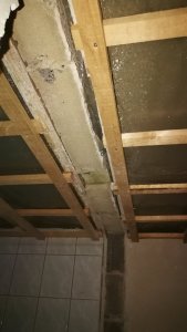 IMG_20211109_165816.jpg