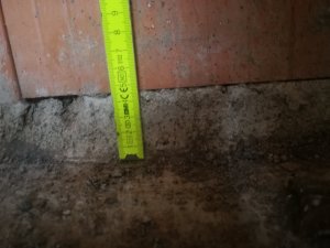 IMG_20211119_102019.jpg