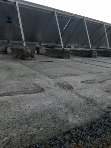 Dachaufbau 1.jpg
