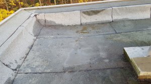 20211121_160757_.jpg