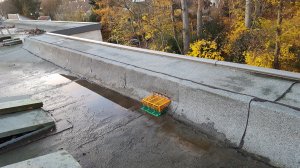 20211121_160954_.jpg