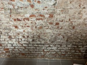 207205AE-8A81-4AEF-87D2-DA3B4433B285.jpeg