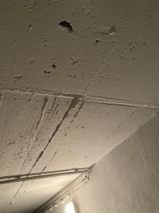 11014355-B29D-4E6F-8201-35532BD684EA.jpeg