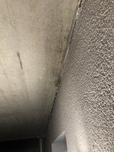 IMG_4133.jpeg