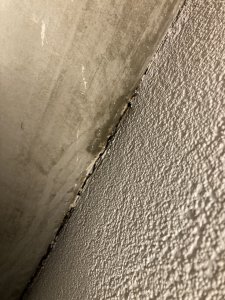 IMG_4134.jpeg