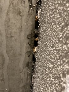 IMG_4135.jpeg