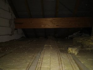 IMG_20211018_133731276.jpg