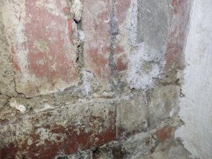 IMG_20211128_185515.jpg
