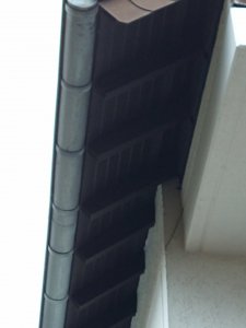 IMG_20211129_160027005.jpg