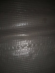 IMG_20211129_154816960.jpg