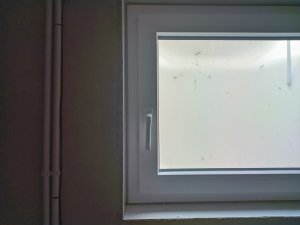 kellerfenster04.jpg
