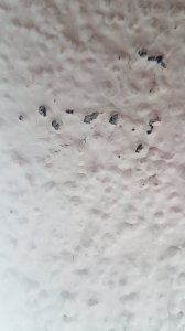 20211204_150334.jpg