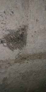 IMG_20211205_084630.jpg