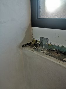 IMG_20211127_090039.jpg