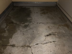CA0278F3-9BD9-4337-8206-B0C4EBF7DE1D.jpeg