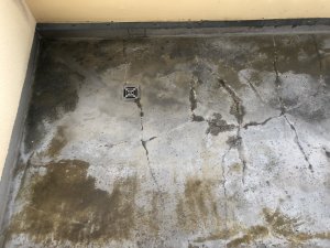9320F9F9-C282-4862-AF75-AD2A0847D044.jpeg