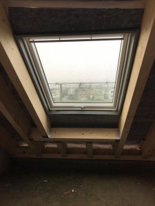 IMG_5250.jpeg