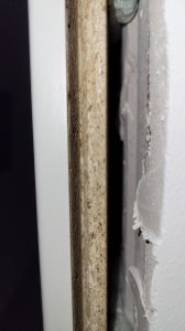 20211212_124914.jpg