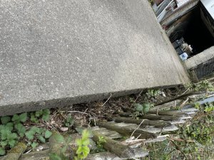 IMG_9983.JPG