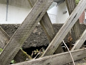 IMG_9984.JPG