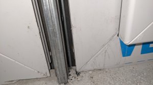 PXL_20211116_150907824.jpg