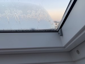 IMG_6432.jpeg
