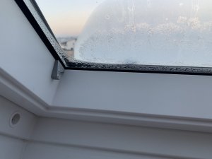 IMG_6433.jpeg