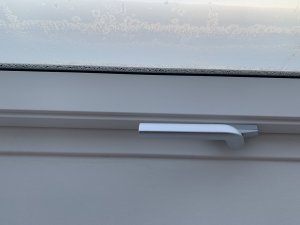IMG_6434.jpeg