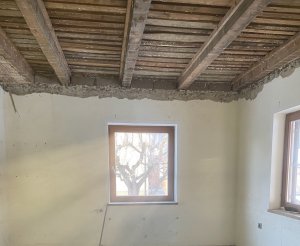 IMG_2089.jpeg