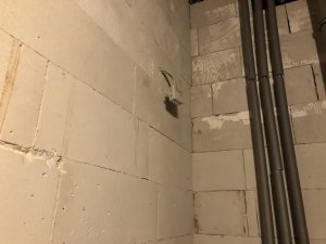IMG_2500.jpeg