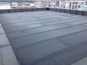 Bauexpertenforum 2021-12 Dach.jpg