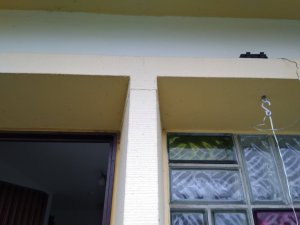 IMG_20211231_121441.jpg