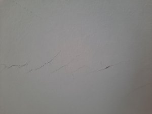 20211017_120010.jpg