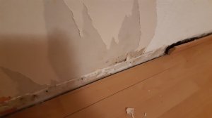 20220106_003901.jpg