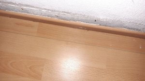 20220106_003915.jpg
