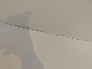 C07C1059-09C8-4250-9077-6226DADD7FF4.jpeg