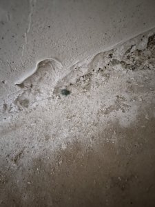 151A39FE-7208-4F92-A004-E42A8C97FD8A.jpeg