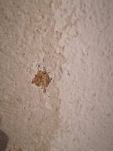 IMG_20220108_155233.jpg