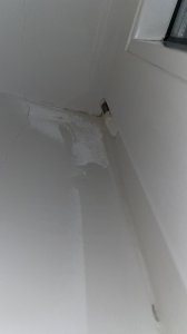AB0F3916-9528-4D07-93F1-0FC0B1C4F0EC.jpeg