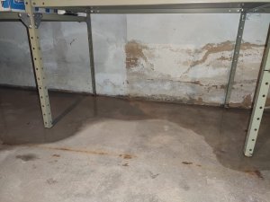 2e23d5a2-4f2a-4f25-9223-ecdaba68004a.jpg